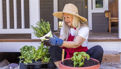 Consejos De Jardinería Si Tienes Que Estar En Casa