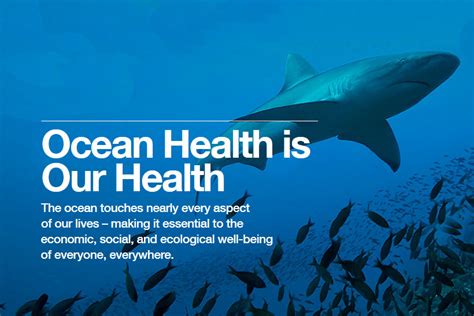ocean health index world ocean observatory