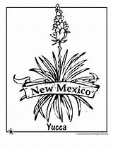 Mexico Coloring Flower Pages State Yucca Plant Arkansas Clip Tree Razorbacks Color Symbols Clipart Jr Getcolorings Library Choose Board Adult sketch template