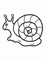 Melc Snail Schnecke Ausmalbilder Malvorlagen Colorat Escargot Colorare Disegni Clipart Lumaca Planse Caracol Desene Kinderbilder Niedliche Imagini Melci Malvorlage Melcul sketch template