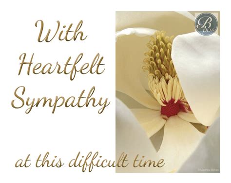 heartfelt sympathy sympathy card printable instant