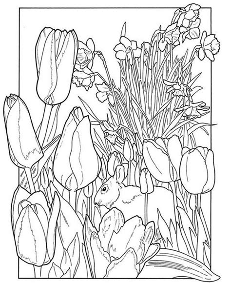 adult coloring pages  spring coloring home