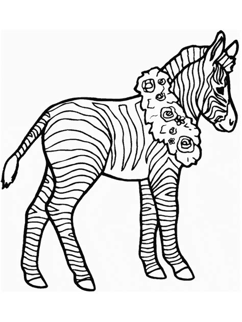 zebra animals coloring pages coloring page book  kids