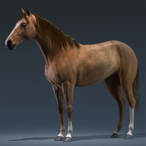model realistic horse