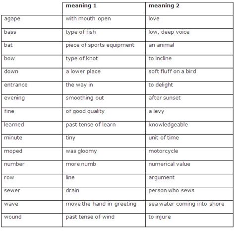 homograph examples  examples