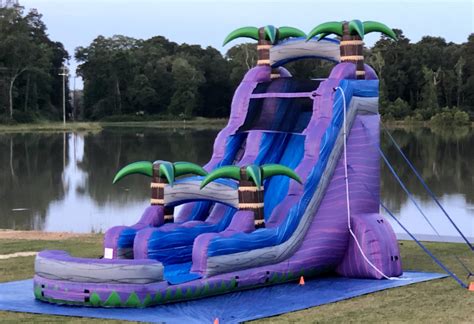 inflatables bounce house rentals    parties  denham springs