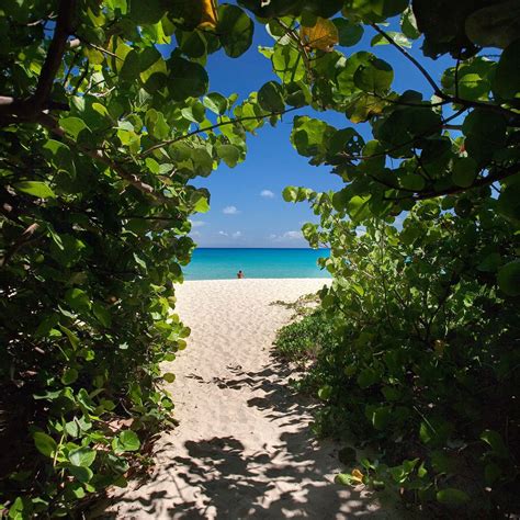 Pantai Topless Dan Nude Terbaik Di Caribbean Caribbean 2023