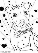 Coloring Pitbull Pages Bull Dog Pit Terrier Puppy Drawing Puppies Silhouette Getdrawings Getcolorings Face Clip Printable Color Colorings Popular sketch template