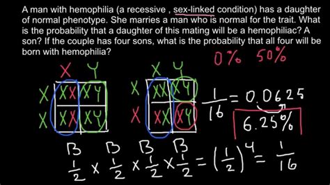 apply law  probability  genetics problems youtube