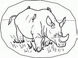 Coloring Pages Rhino Rhinoceros Printable Animals Kids Endangered Rhinos Color Colouring Rainforest Print Species Preschool Animal Child Fun Popular Comments sketch template