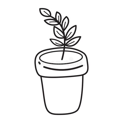 houseplant isolated green plant   flower pot illustration
