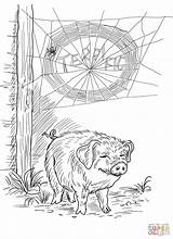 Charlotte Web Coloring Wilbur Charlottes Pages Pig Printable Kids Clipart Colouring Printables Some Drawing Sheets Terrific Supercoloring La Telarana Fern sketch template