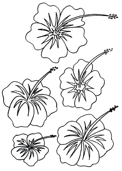 hawaiian flower coloring pages printable  getcoloringscom