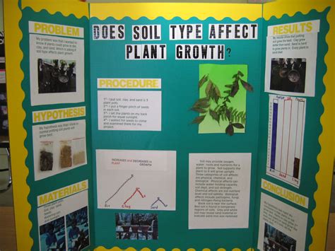 science fair projects  plants good science project ideas