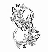 Butterfly Butterflies Farfalle Contorno Otto Contour Achtergrond Acht Eight Jugofmilk Realistico Felice Volare Angolo sketch template