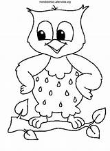 Colorare Gufo Gufi Disegnare Molto Pineglen Bimbo Mondo Lusso Owls Nel Nl22 Mewarnai Koleksi Acting Edb Boschi Uccello Ea71 sketch template