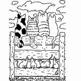 Dik Dikkie Tekening Katten Leukvoorkids Dieren Kattenkunst Huisdieren sketch template