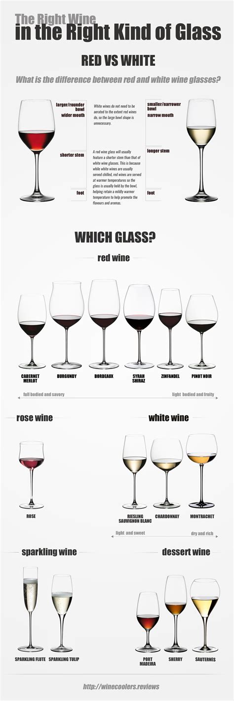 Types Of Wine Glasses