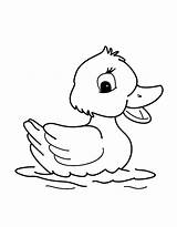 Eend Kleurplaat Baby Tekening Dieren Eendje Eenden Pato Tekenen Eenvoudige Feo Patito Duckling Ducks Tekeningen Doodles Patos Garabatos Mamá Sencillos sketch template