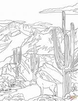 Coloring National Park Coyote Pages Saguaro Howling Florida State Symbols Mountain Printable Teton Drawing Zion Supercoloring Arizona Categories sketch template