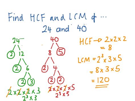 products  prime factors hcf lcm math showme