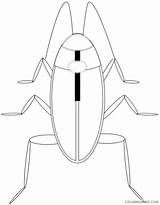 Cockroach Coloring4free Coloring Pages Printable Related Posts sketch template