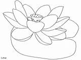 Coloring Lotus Flower Popular sketch template