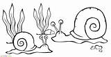 Laut Siput Sketsa Pemandangan Mewarnai Hewan Putih Binatang Alam Belajar Bagus Bawah Pantai Ukuran Marimewarnai Yukbelajarmewarnai Ide Clip Animasi Buas sketch template