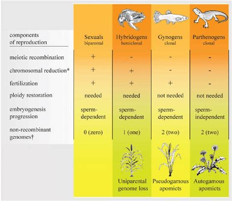 Recurrent Modification Of Components Of Sexual Reproduction Observed In