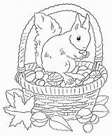 Herbst Malvorlagen Ausmalbild Malvorlage Automne Ecureuil Vorlagen Coloriage Erwachsene Ausdrucken Coloriages Eichhörnchen Hundertwasser Ausmalvorlagen Malbilder Herbstbilder Igel Fussball Steigen Drachen sketch template