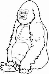 Gorilla Gorillas Getdrawings sketch template