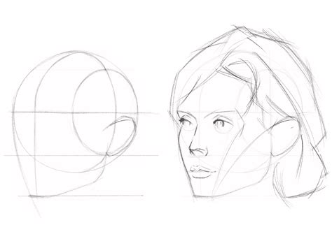 loomis method draw  head   angle