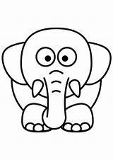 Elefante Dieren Olifant Colorir Schattige Makkelijk Colorare Schattig Schatige Elefantes Disegni Dierenkleurplaten Bos Tekenen Elefanti Elephants Supercoloring Facil Tekeningen Afbeeldingen sketch template