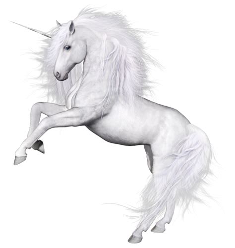 unicorn png image