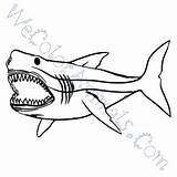Megalodon Coloring Shark Pages Color Getcolorings Click Getdrawings Drawing Colo sketch template