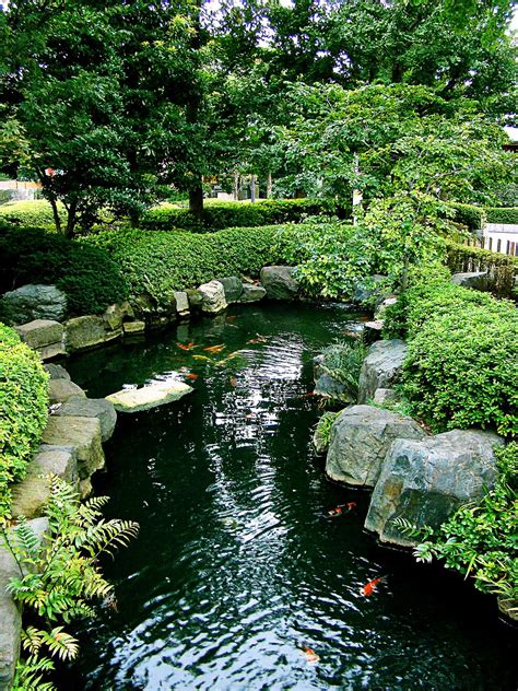 build  backyard koi pond  garden  patio home guide