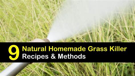 natural homemade grass killer recipes methods