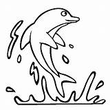 Dolphin Pulando Golfinho Tale Golfinhos Tudodesenhos sketch template
