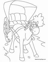 Coloring Cariage Horse Tanga Pages sketch template
