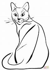 Cat Coloring Sitting Cats Pages Clipart Drawing sketch template