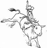 Toros Bucking Rodeo Bulls Toro Monta Pbr Riders Vaquero sketch template