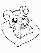 Hamster Coloring Pages Kids Sweet sketch template
