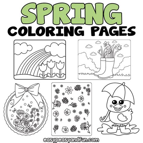 turtle coloring pages  printable sheets  kids skip