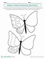 Symmetry Butterfly Geometry Butterflies Dimensional Activity sketch template