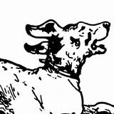 Coloring Running Dog sketch template