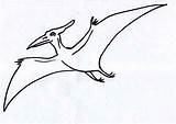 Pteranodon Dinosaur sketch template