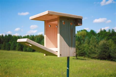 build  bluebird nest box nesting boxes bluebird nest bird house kits