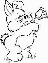 Rabbit Coloring Pages Color Print Coloring2print sketch template