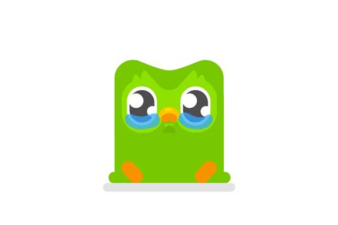 Duolingo Redesigned Its Owl To Guilt Trip You Even Harder Duolingo