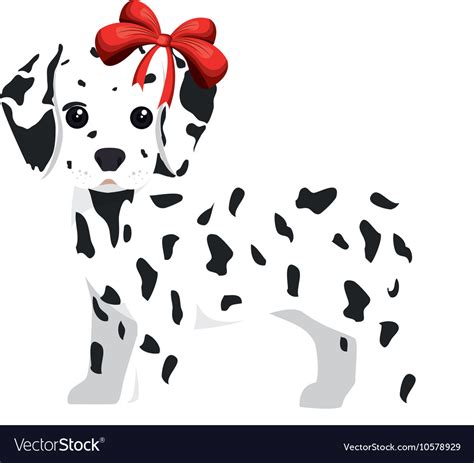 dalmatian dog cartoon vector  studiogstock image